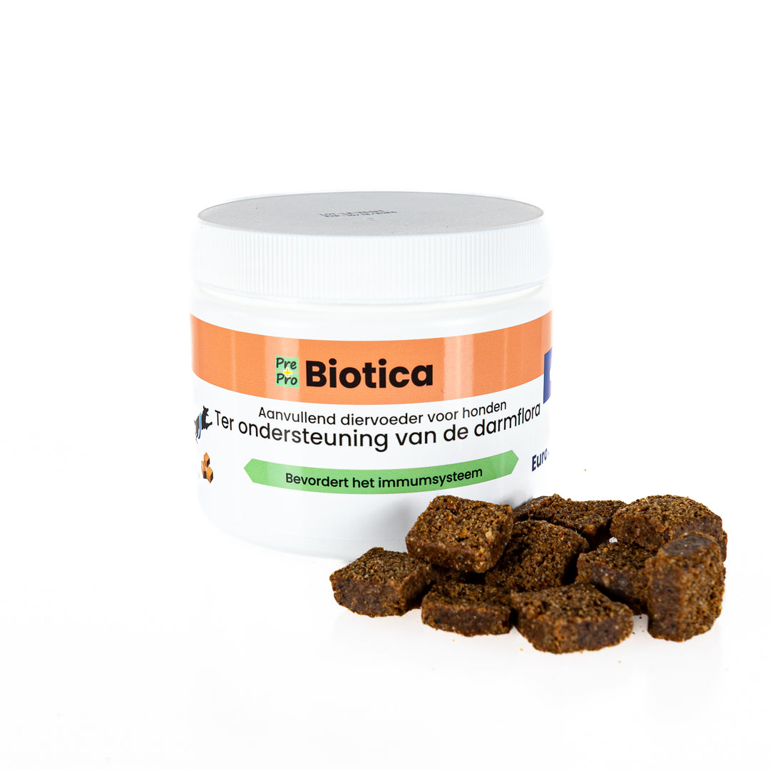Digestion Chewy kauwsnoepjes voor ondersteuning van darmflora en weerstand bij honden
